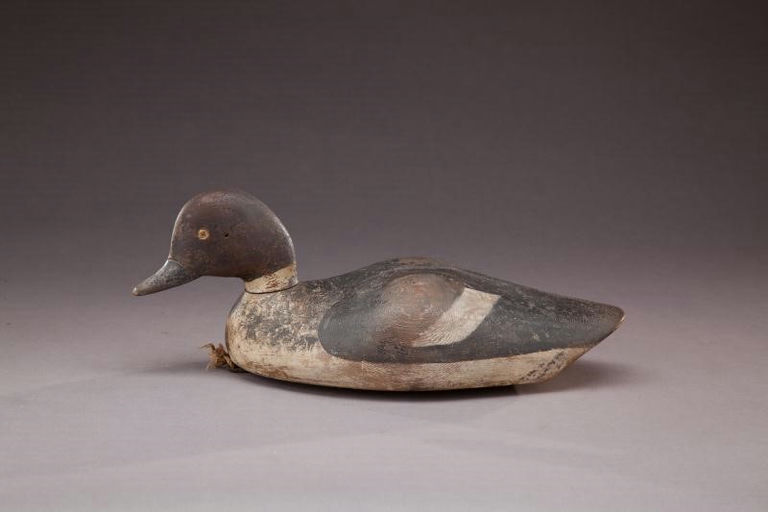 E. Frank Adams – Swimming Goldeneye Hen – 2012