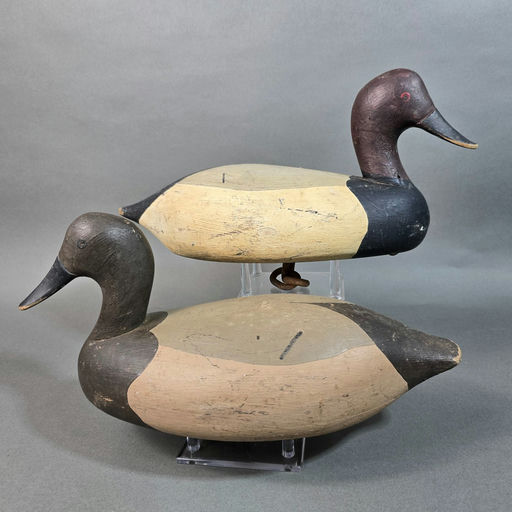Gene Travers – Canvasback – 2026