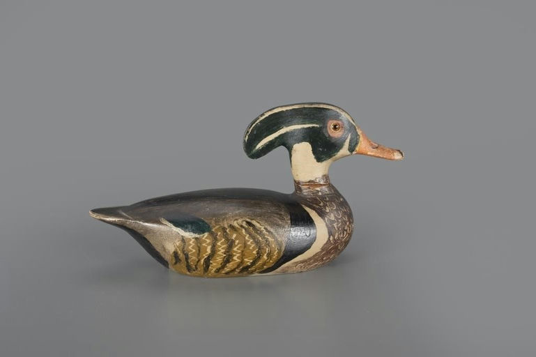 Otton Garren – Wood Duck Drake – 2024