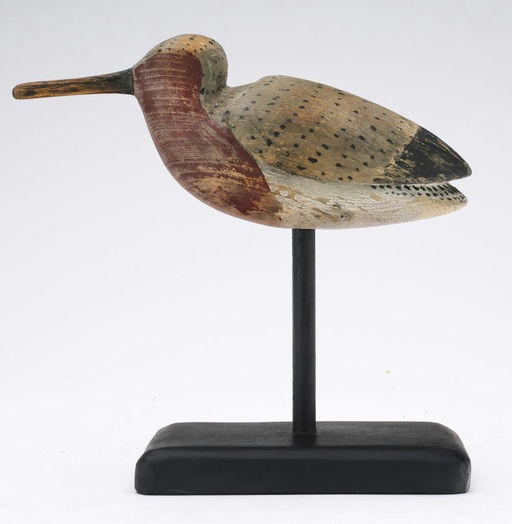 Mark McNair – Red knot – 2024