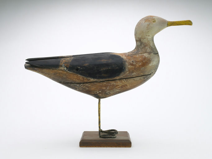 Gus Wilson – Gull – 2024