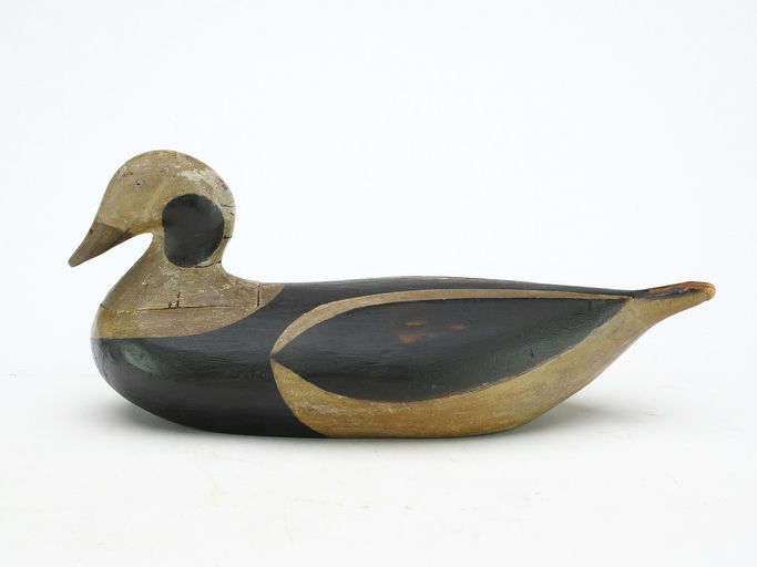 Gus Wilson – Duck – 2024