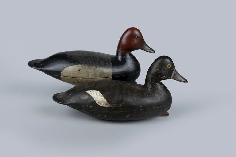 Harry V. Shourds – Hillman Redhead Pair – 2026