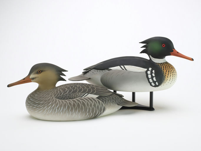 Oliver Lawson – Pair of Red-breasted Merganser – 2024