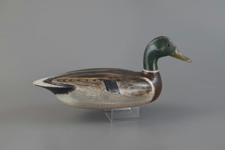 Charles Walker – Zearing-rig Mallard – 2025