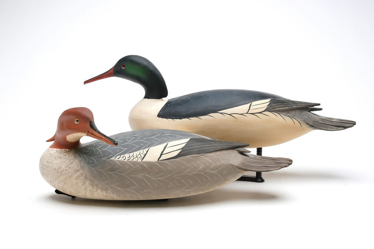 Bob White – Pair of American Merganser – 2026