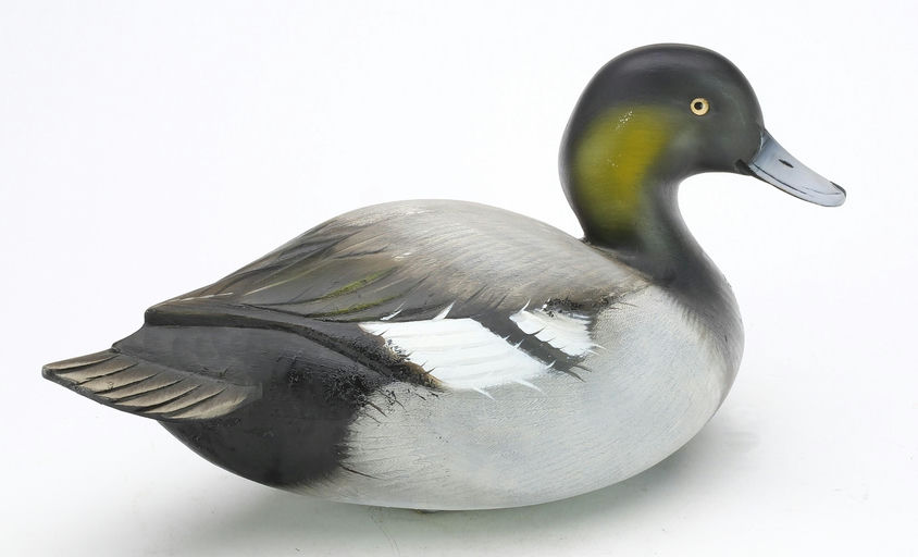 Sean Sutton – Bluebill – 2024