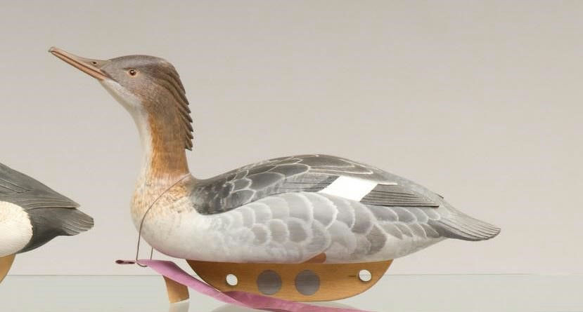 George Csefai – Red-breasted Merganser Hen – 2009