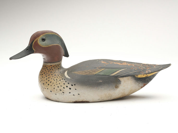 Ward Brothers – Greenwing teal – 2023