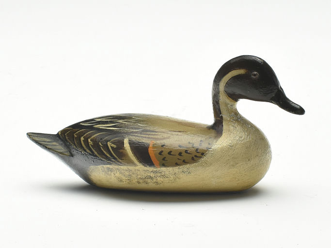 Charles Perdew – Pintail – 2023