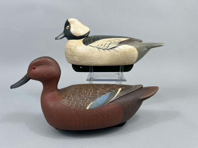 Matt Downs – Bufflehead and Cinnamon Teal – 2026