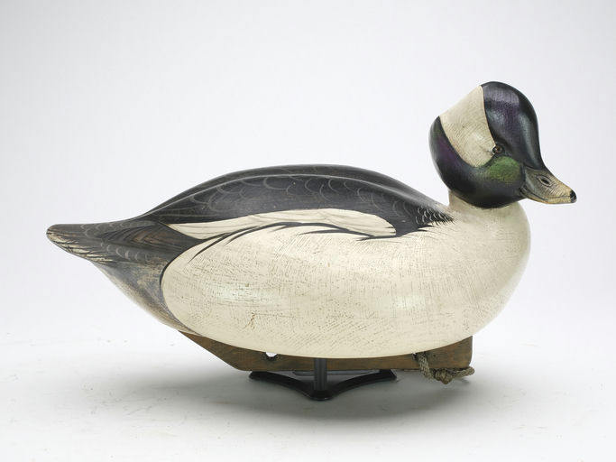 Jim Schmiedlin – Bufflehead Drake – 2023