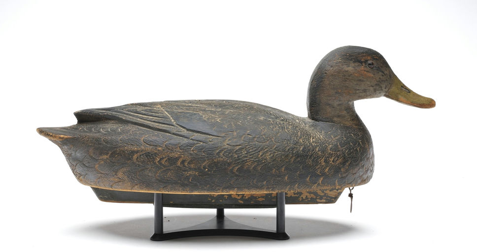 Ben Schmidt – Black Duck – 2026