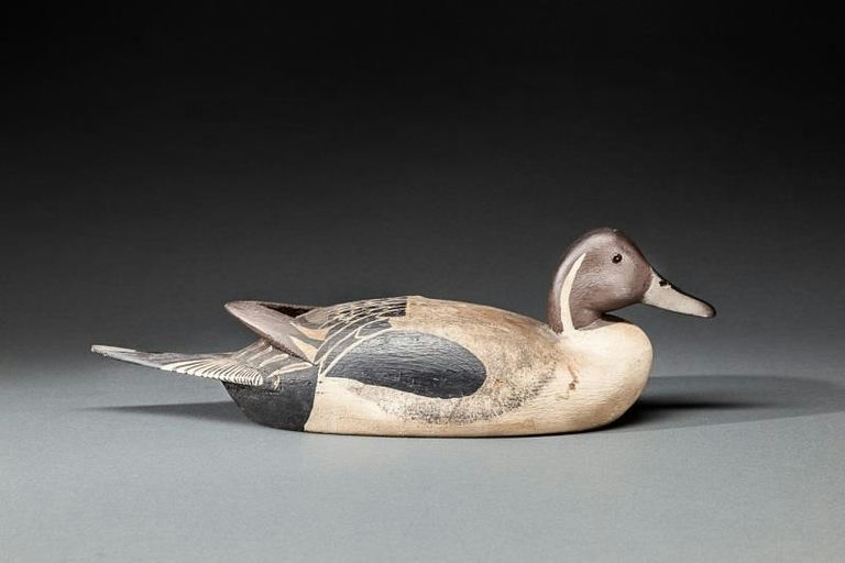 Anthony Bianco – Pintail Drake – 2015