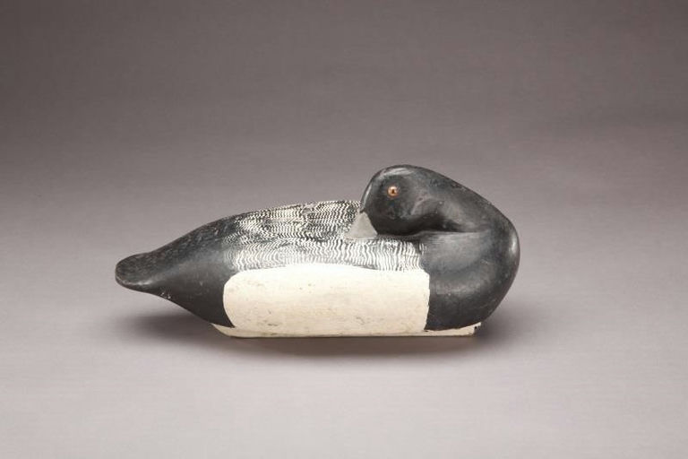 Chet Reneson – Preening Bluebill Drake – 2011