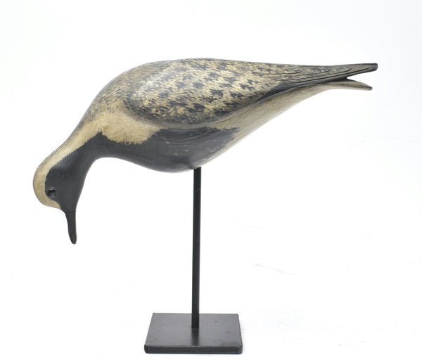 Bill Gibian – Plover – 2025
