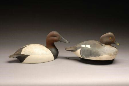 Ken Harris – Goldeneye Hen – 2007
