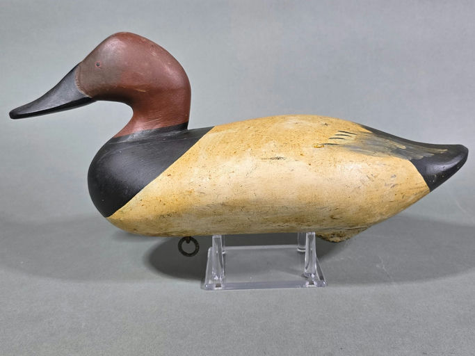 R. Madison Mitchell – Canvasback – 2026