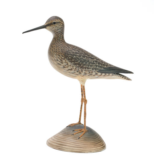 Elmer Crowell – Lesser Yellowlegs – 2025