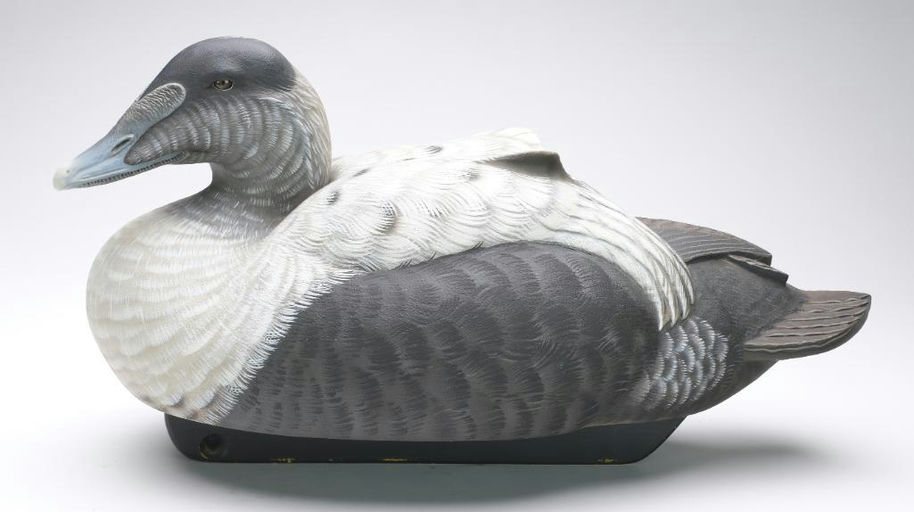 Tom Matus – Eider – 2023