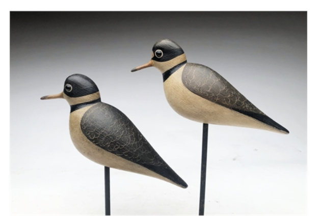 Mark McNair – Pair of Semipalmated Plover – 2020