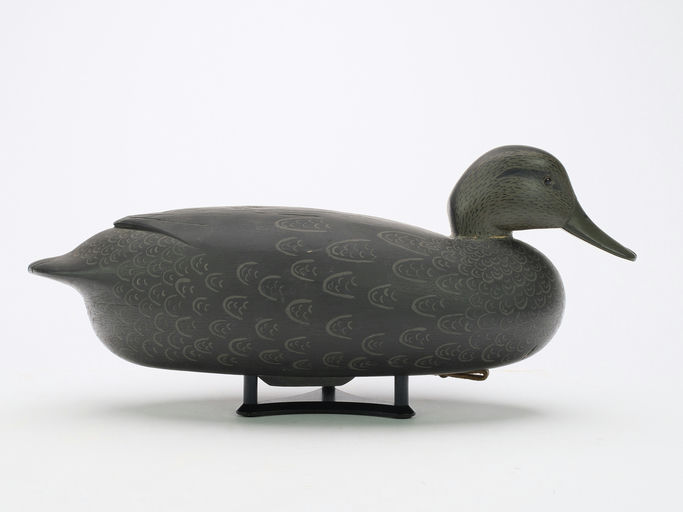 Joe King – Black Duck – 2024