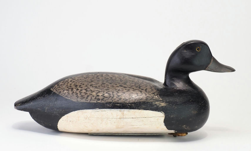 Clark Madera — Bluebill Drake