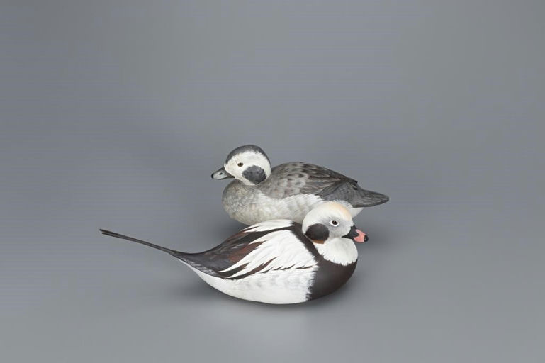 Kenneth Scheeler – Long-Tailed Duck Pair – 2020