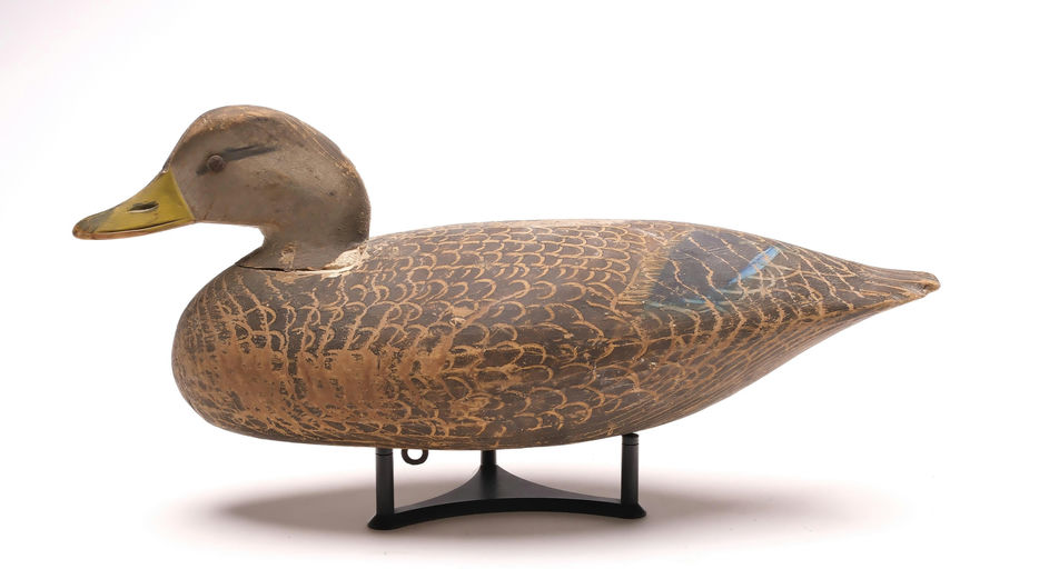 Ira Hudson – Black Duck – 2024