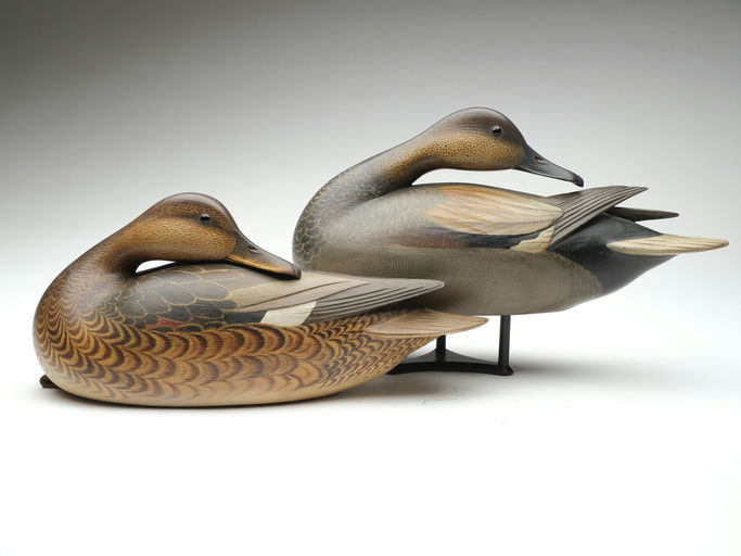 Bill Gibian – Pair of Gadwall – 2023