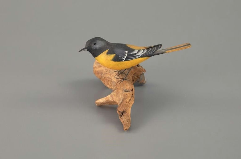 Peter Peltz – Baltimore Oriole – 2025