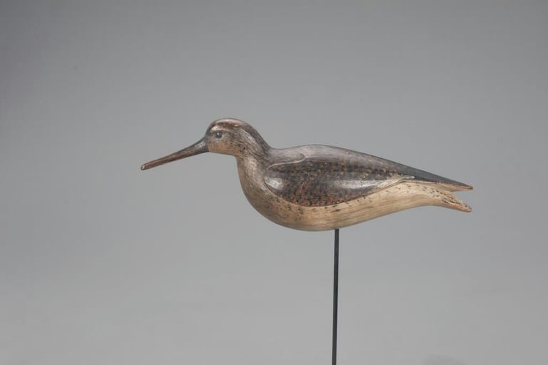 Mark McNair – Long-Billed Dowitcher – 2021