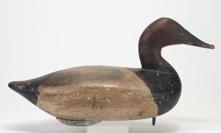 James Holly — Canvasback - Philadelphia Ducking Cl