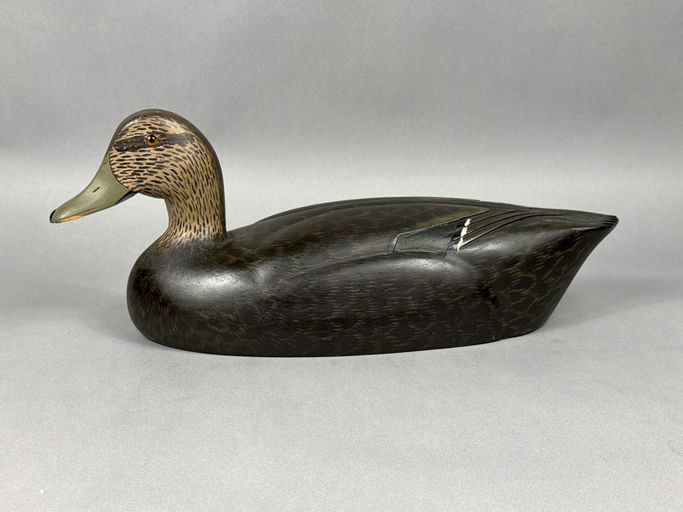 Charles Buchanan — Black Duck