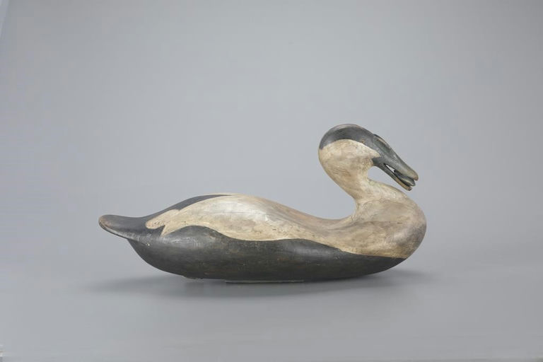 Frank Finney – Eider with Mussel – 2023