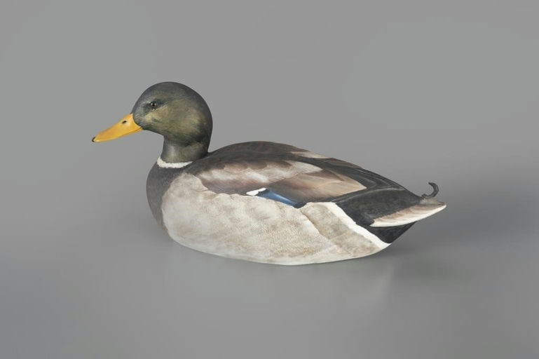 John Scheeler – Mallard Drake – 2024
