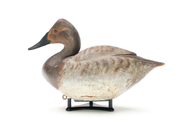 Owen Gromme – Canvasback – 2026