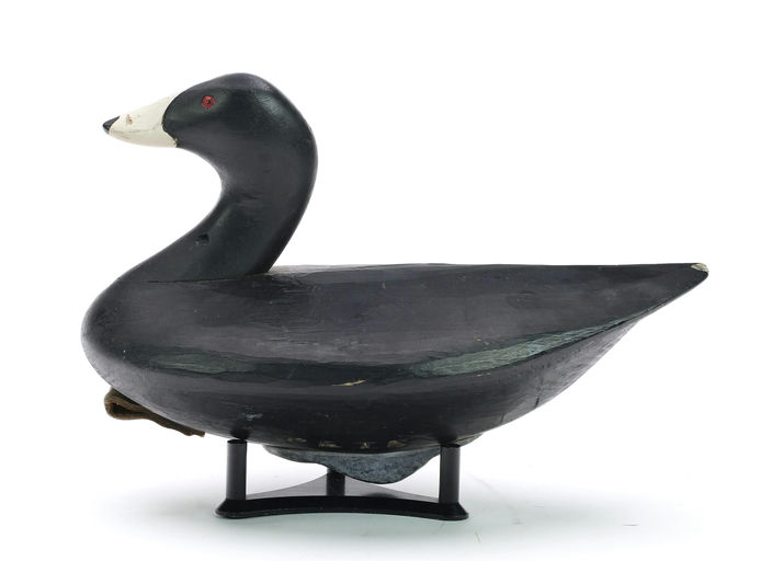 Pete Peterson – Coot – 2024