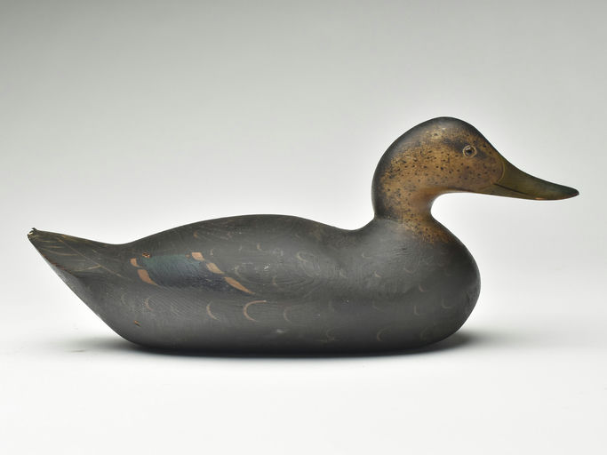 Mason Decoy Factory – Black Duck – 2023
