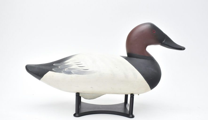 Charlie Joiner – Canvasback – 2025