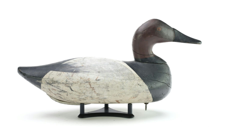 Bob McGaw – Canvasback – 2025