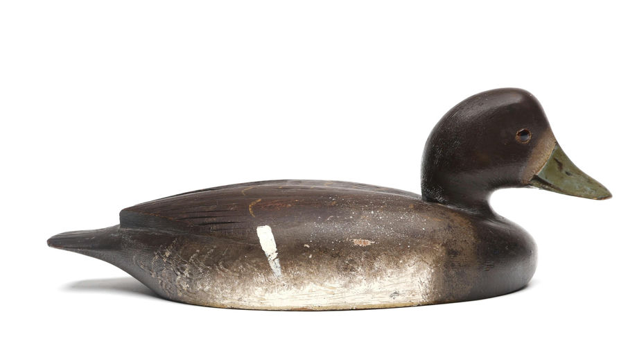 David W. Nichol – Scaup – 2026