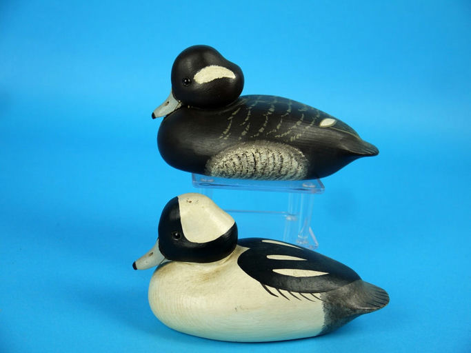 Charles R. Birdsall – One-Third Size Bufflehead Pair – 2026