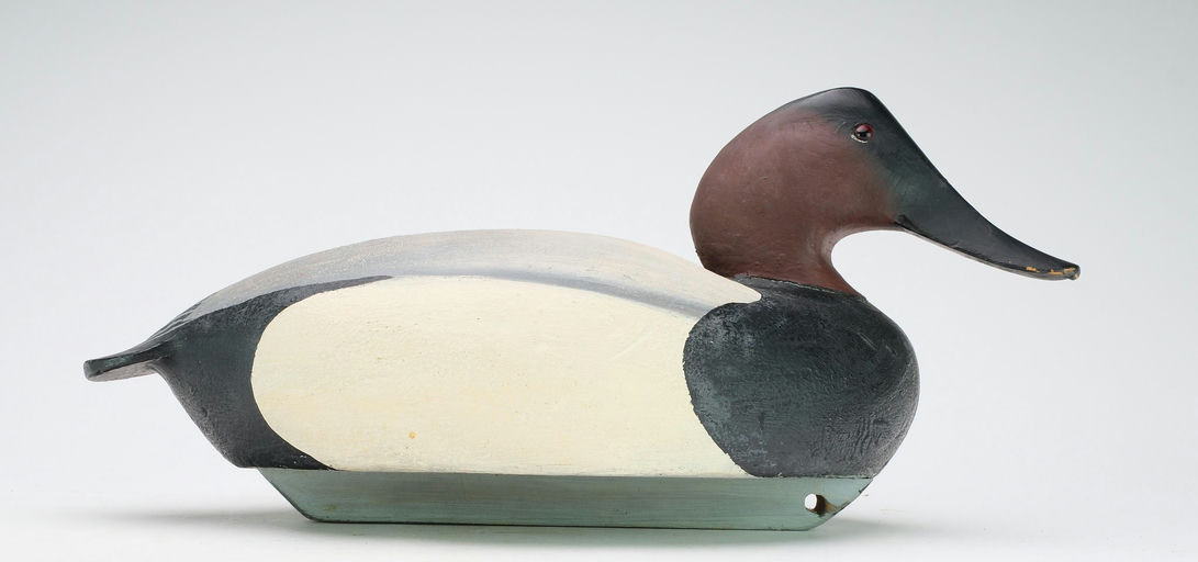 Ward Brothers – Canvasback – 2024