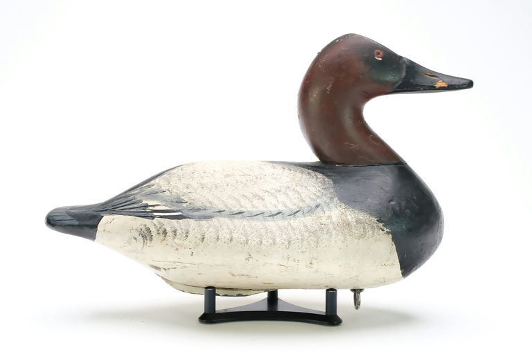 Henry Lockard – Canvasback – 2025