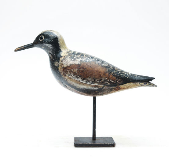 Ken Kirby – Black Bellied Plover – 2026