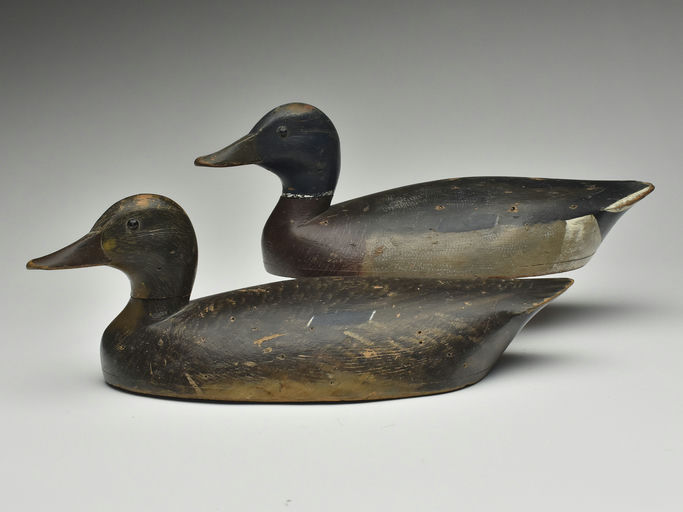 John R. Wells – Pair of Mallard – 2023