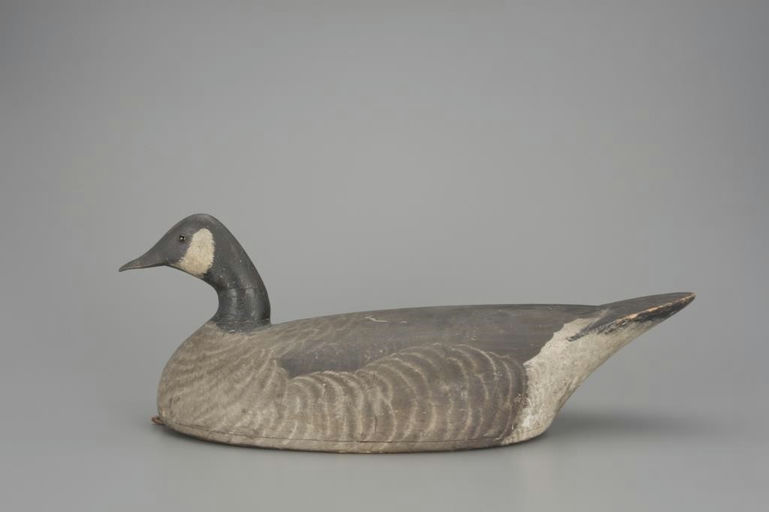 George Warin – Canada Goose – 2018