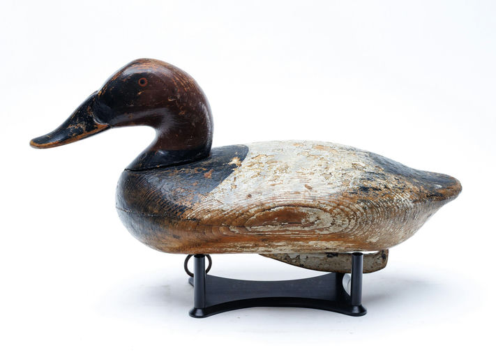 Holly Family – Canvasback – 2026