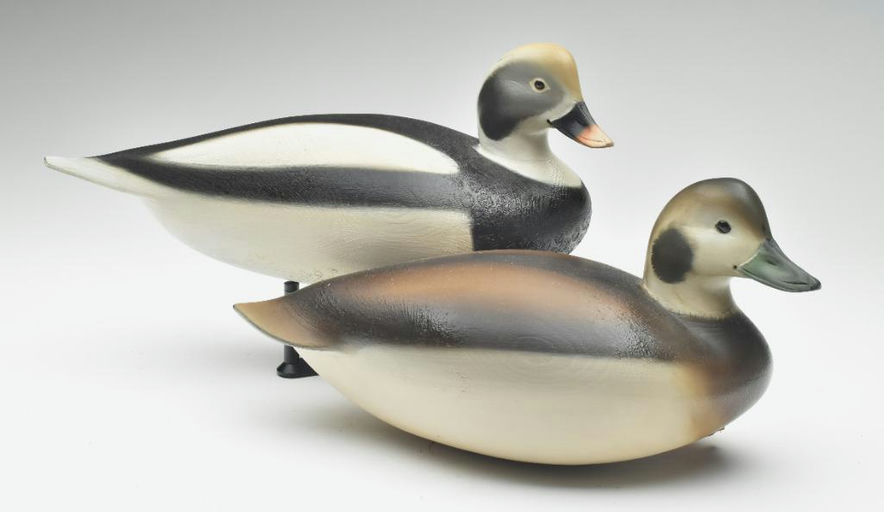 Sean Sutton – Pair of Long Tail Duck – 2023